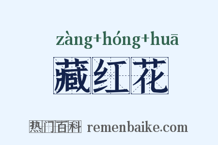 藏红花是什么意思的图片